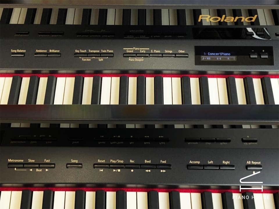 ROLAND LX-15 PE - Ảnh 5