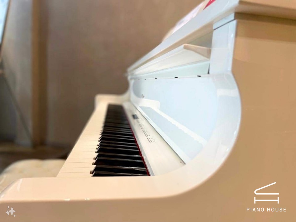 Roland GP-609 PW (USED) - Ảnh 3