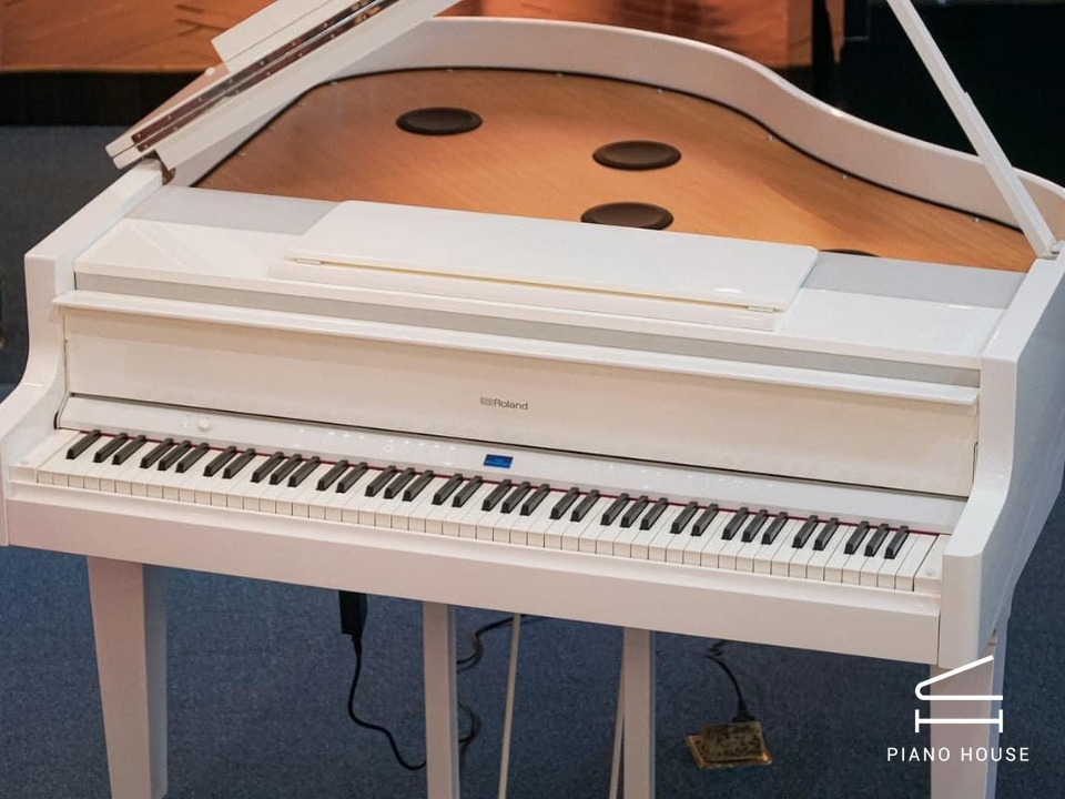 ROLAND GP-9M PW - Ảnh 2