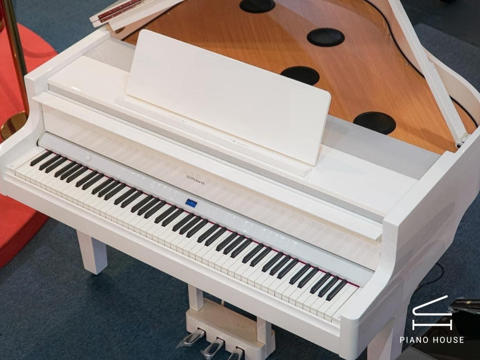 ROLAND GP-9M PW - Ảnh 3