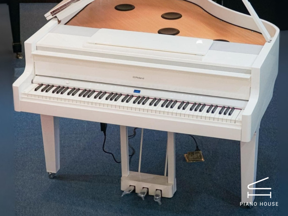 ROLAND GP-9M PW - Ảnh 4