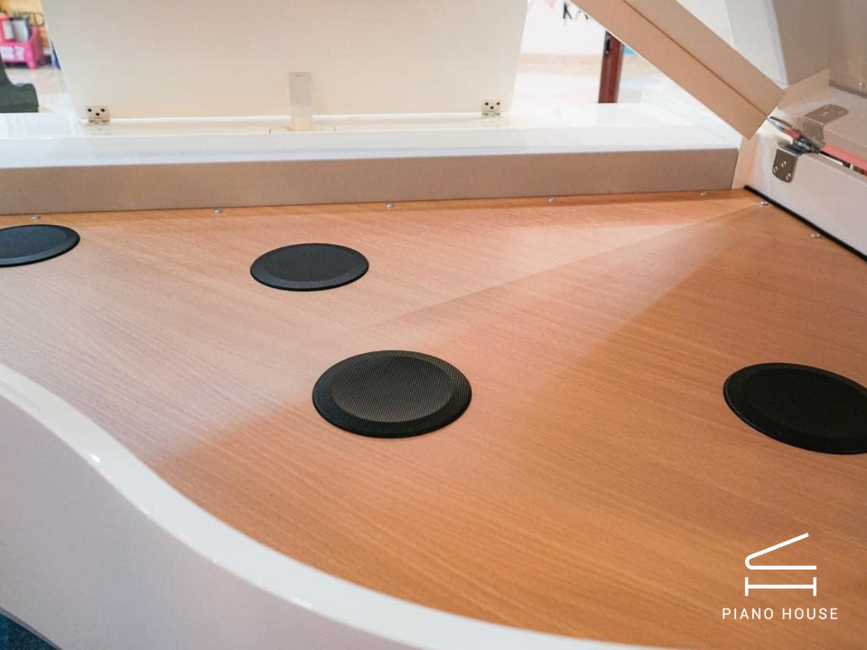 ROLAND GP-9M PW - Ảnh 7