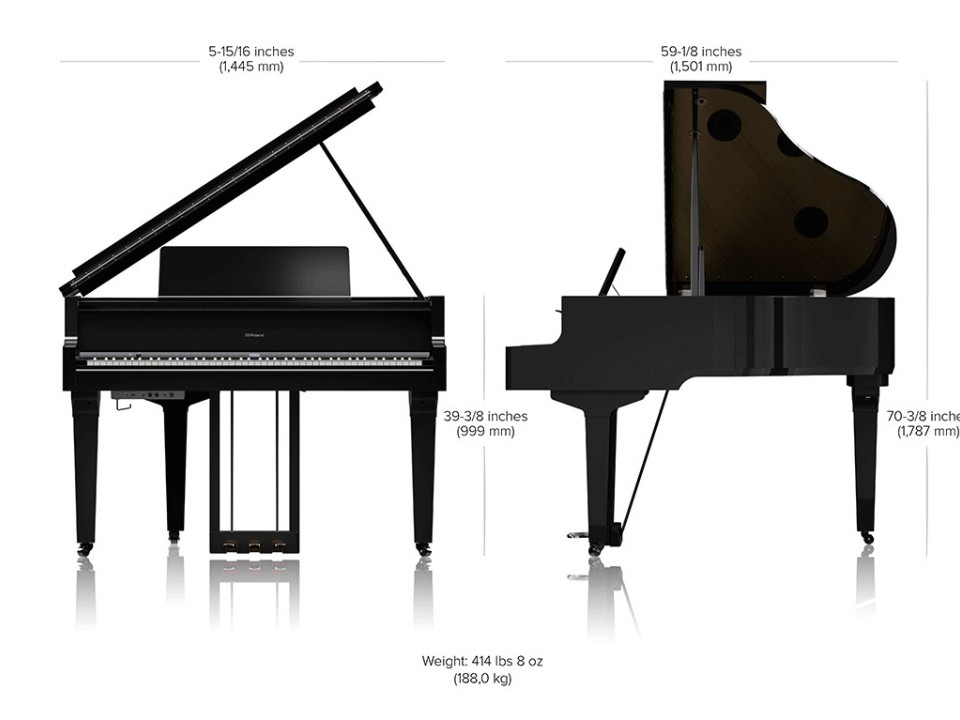 ROLAND GP-9M PW - Ảnh 8