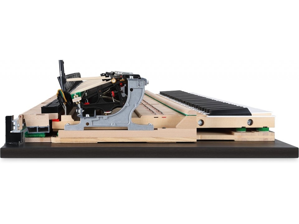 KAWAI NV10 Hybrid - Ảnh 4