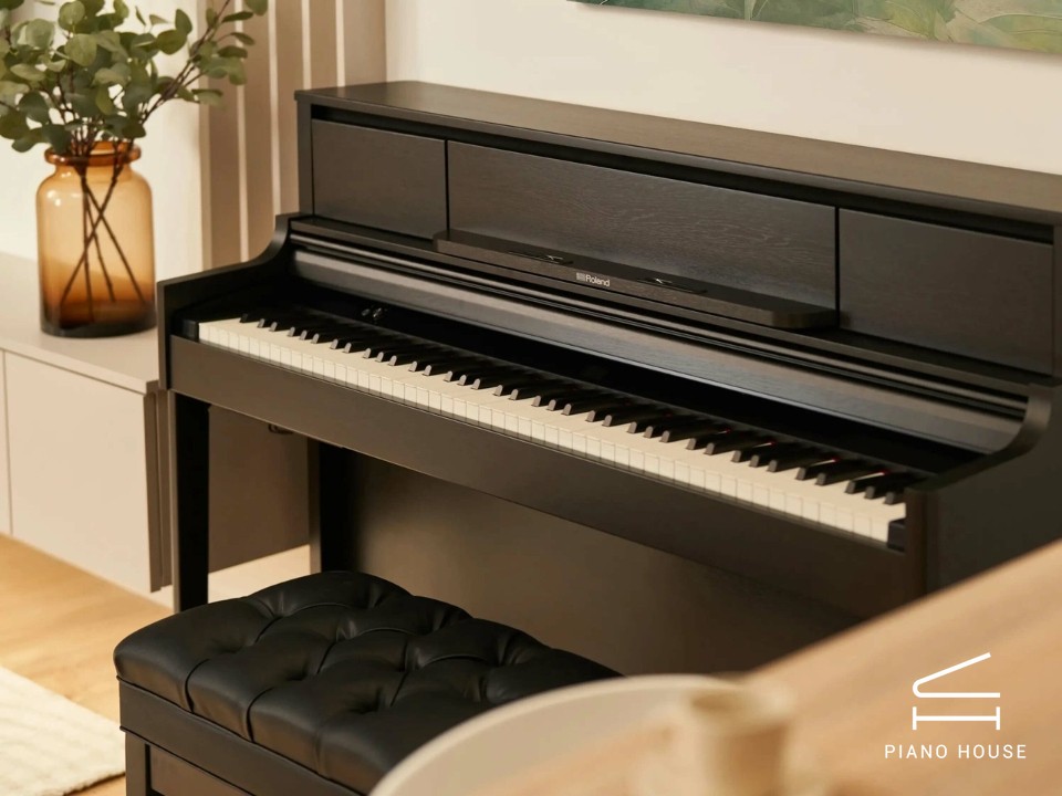 ROLAND LX-5 CB - Ảnh 2