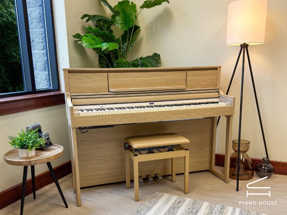 ROLAND LX-5 LO - Ảnh 2