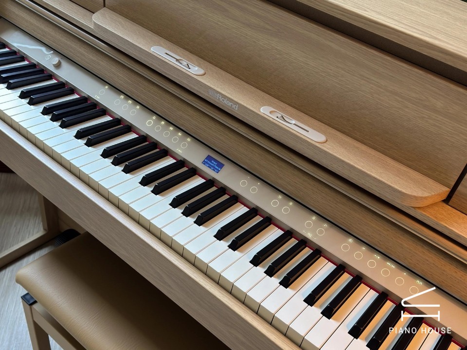 ROLAND LX-5 LO - Ảnh 12