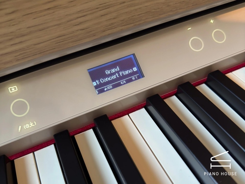 ROLAND LX-5 LO - Ảnh 15