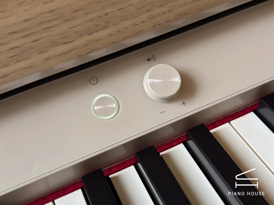 ROLAND LX-5 LO - Ảnh 16