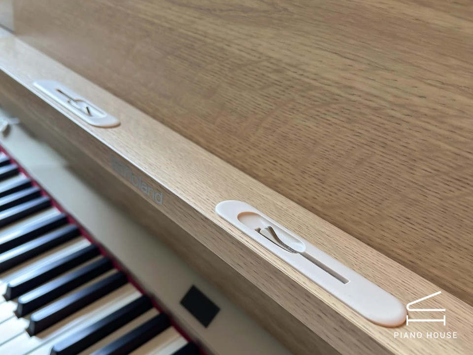 ROLAND LX-5 LO - Ảnh 14