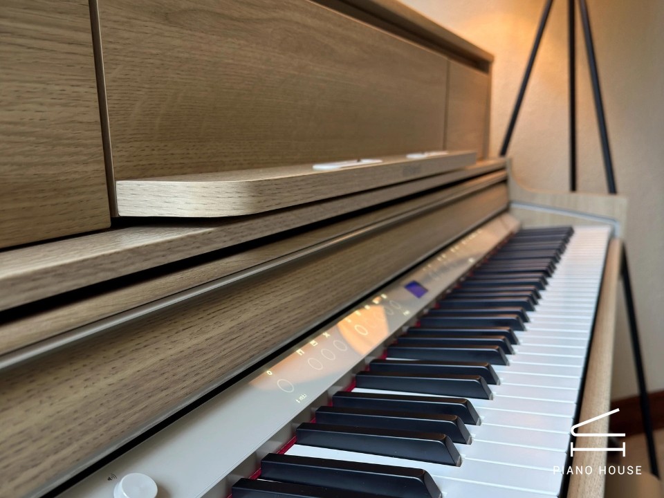 ROLAND LX-5 LO - Ảnh 13