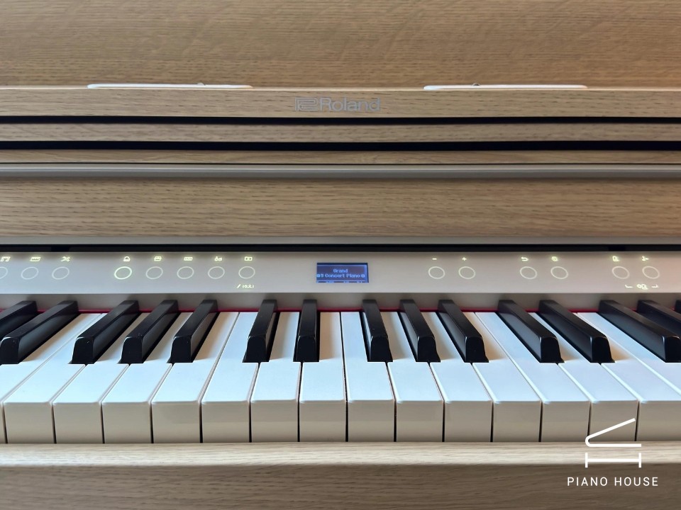 ROLAND LX-5 LO - Ảnh 11