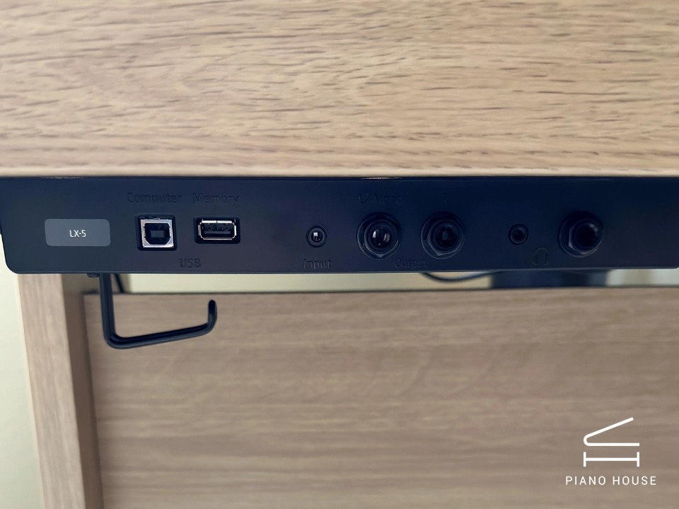 ROLAND LX-5 LO - Ảnh 18