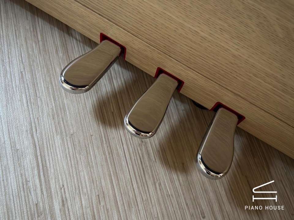 ROLAND LX-5 LO - Ảnh 20