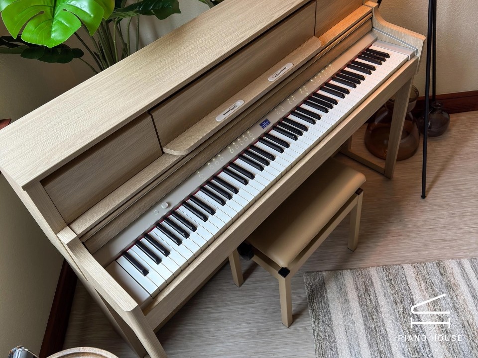 ROLAND LX-5 LO - Ảnh 10