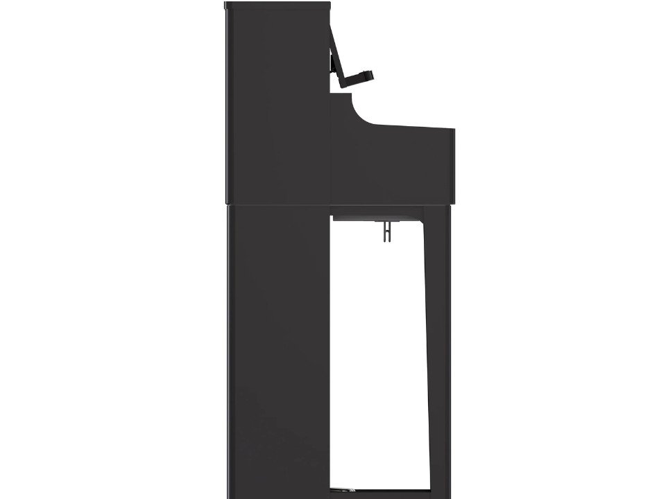 ROLAND LX-5 PE - Ảnh 5