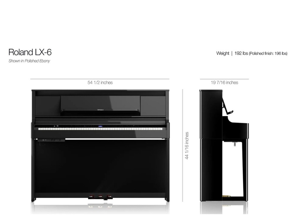 ROLAND LX-5 LO - Ảnh 21