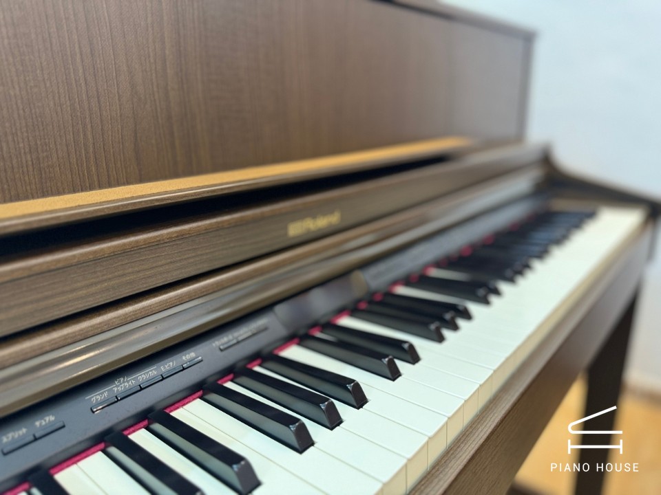 ROLAND LX-7 BW - Ảnh 5