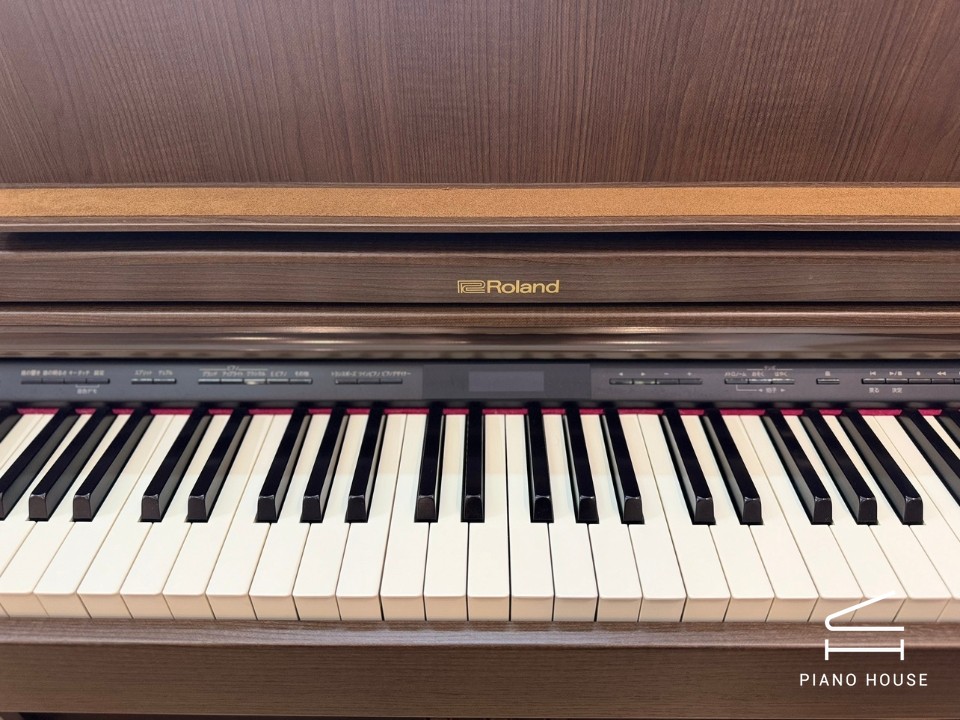 ROLAND LX-7 BW - Ảnh 7