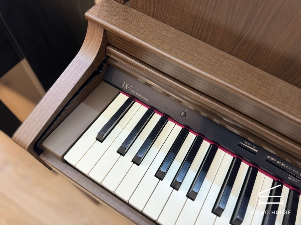 ROLAND LX-7 BW - Ảnh 8